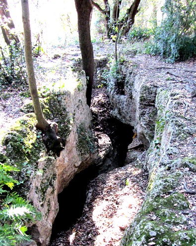 ???????????????????????????????