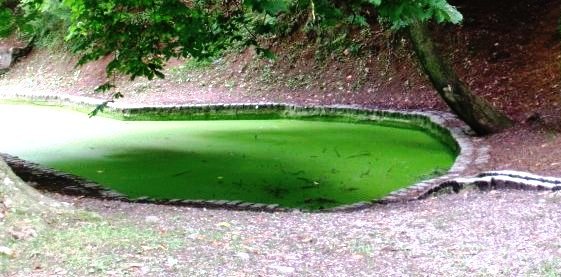 ??????????????????????