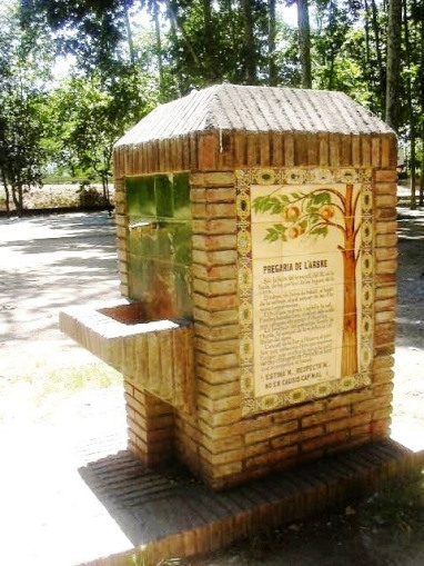 Tordera - Font Parc_01