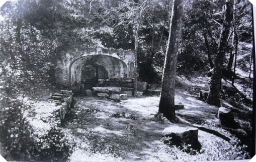 Vallgorguina - Ft Bruguera_01