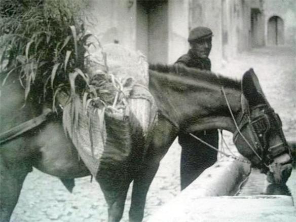 Vilaplana - abeurador[1]