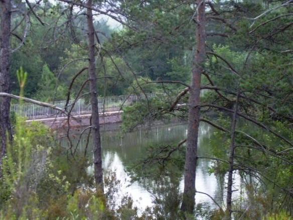 Vista parcial del Mur interior