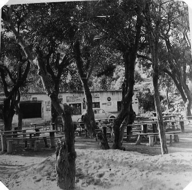 Berenador - any 1960