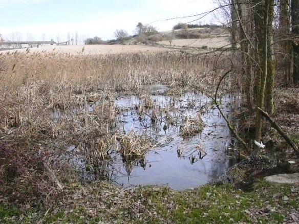 Bassal Fts. Casablanca 1