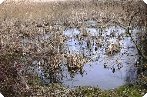 Bassal Fts. Casablanca 2