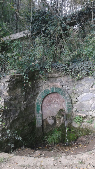 Font de Sant Salvador - Masies de Ter_01