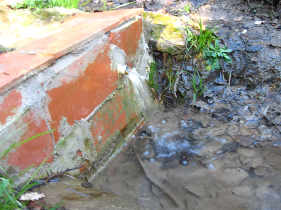 Font d'en Llopis - Actual