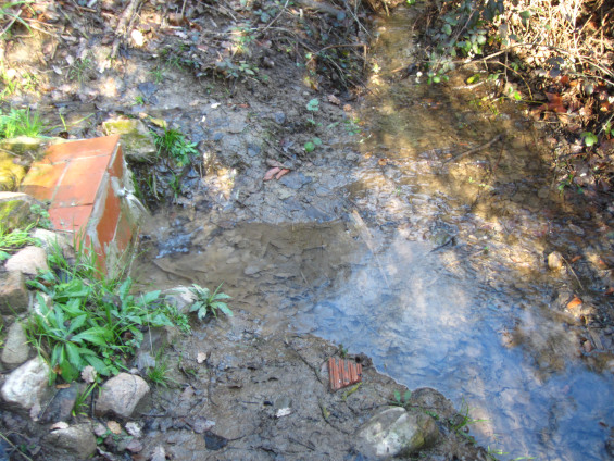 Font d'en Llopis- Actual