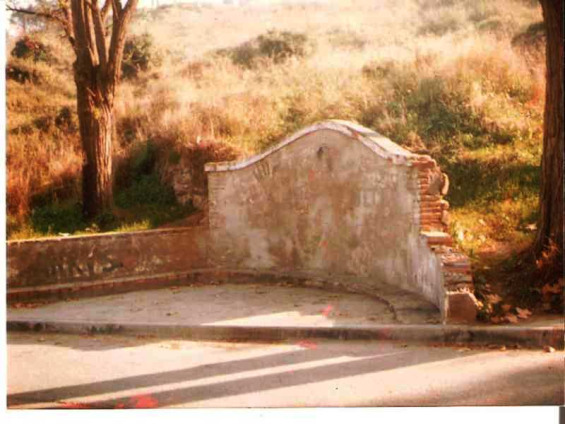 Font Eucaliptus-  any 1988