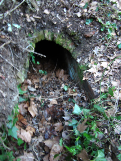 Mina -Font d'en Llopis - Actual