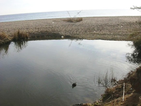 Vista desembocadura 5