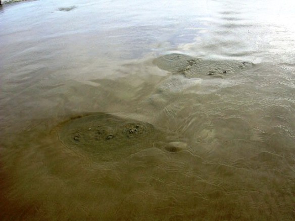 Alcossebre - Les Fonts 5