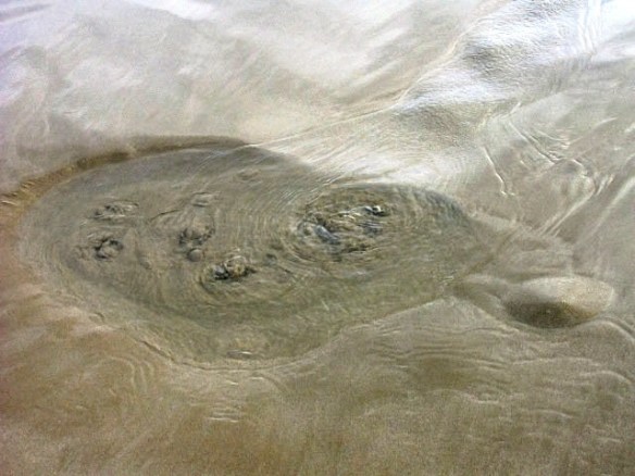 Alcossebre - Les Fonts 6