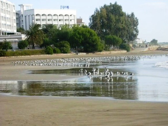 Alcossebre - Les Fonts - Aus
