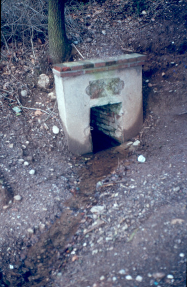 Mina de Can Feliu Nº 2 ( any 1986)