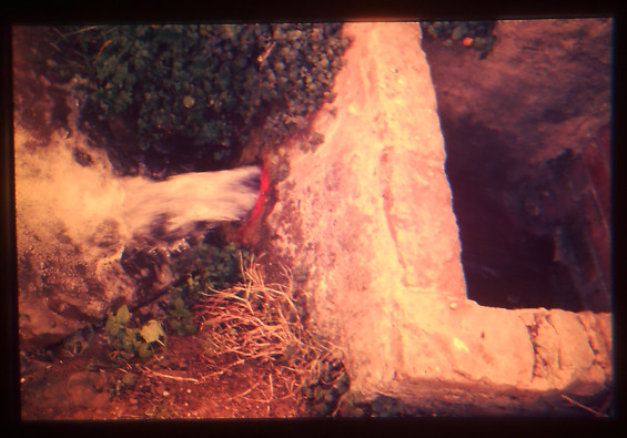 Aigua de la Font, portada als horts propers-Any 1986