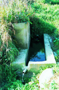 Font de Corro Fotografia Ll 