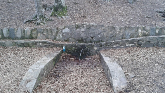 IMG-20150301-WA0004_01