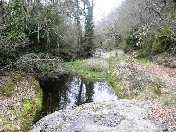 Banyera Natural 2_01