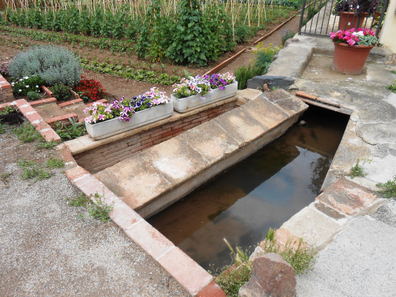 Safareig Barri Querol