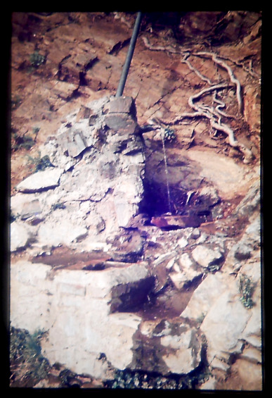 Font Maduixera- Any 1976 - Arxiu RASOLA