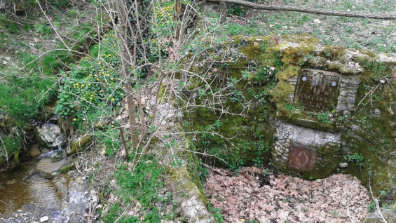 Font del Molins 4_01