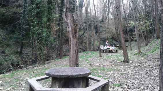 Taules Font del Molins