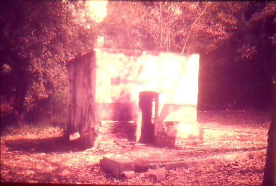 Any 1987 - Arxiu RASOLA