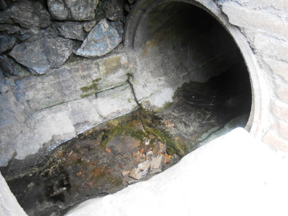 Rec dins de Figaro (B)