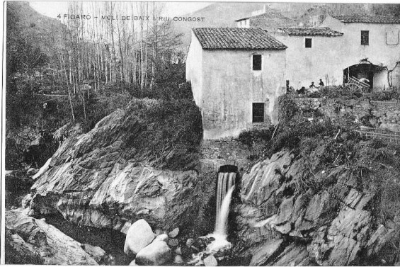 Processed By eBay with ImageMagick, z1.1.0. ||B2