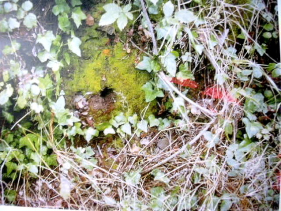 Ft. del Roure-Les Planes 3_01