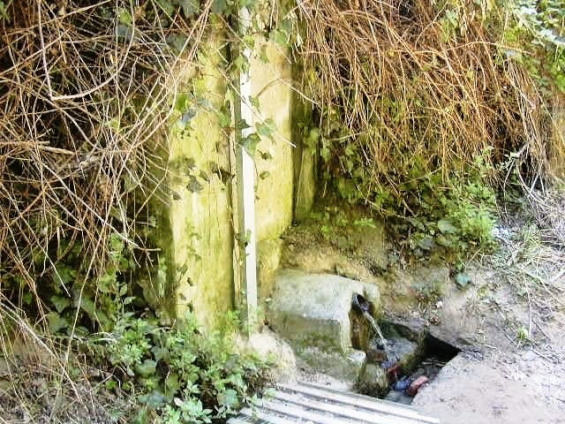 Fotografia de l'any 2001