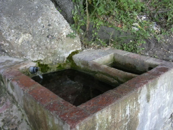 L'Albiol- Ft Mas Colomer 1_01