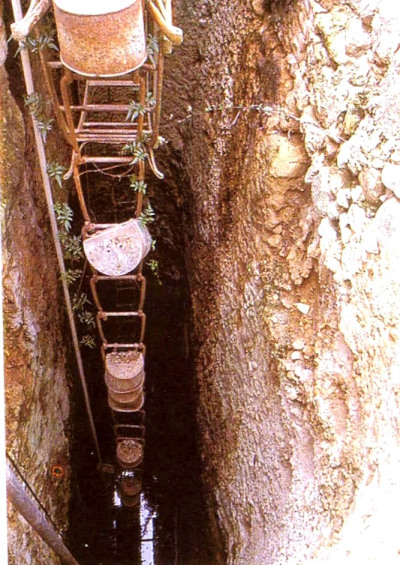 POUS  - Les Sinies 1_01