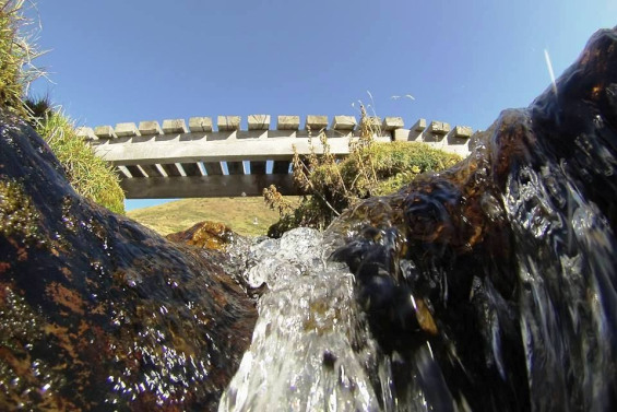 1000305_10201923707361532_175805203_n_01