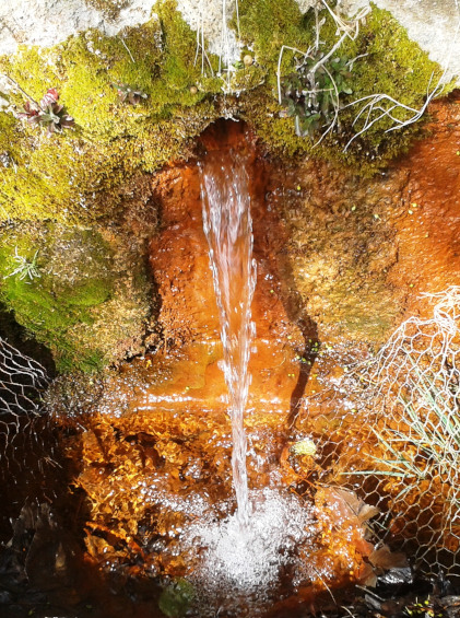 2014-05-18 11.06.11_01