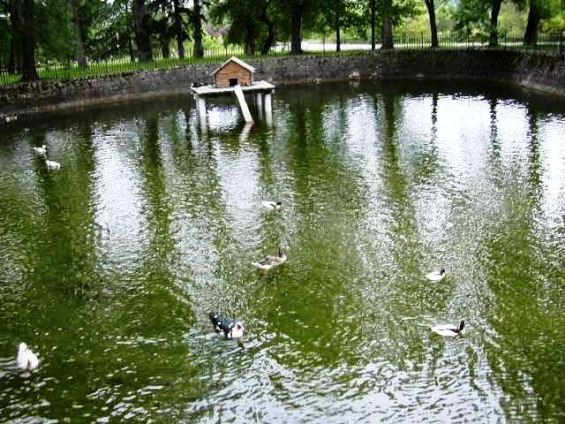 Alceda- Bassa gran Balneari 1_01