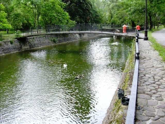 Alceda-Bassa gran Balneari 2_01