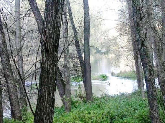 Aiguabarreix Ter - Ges 3_01