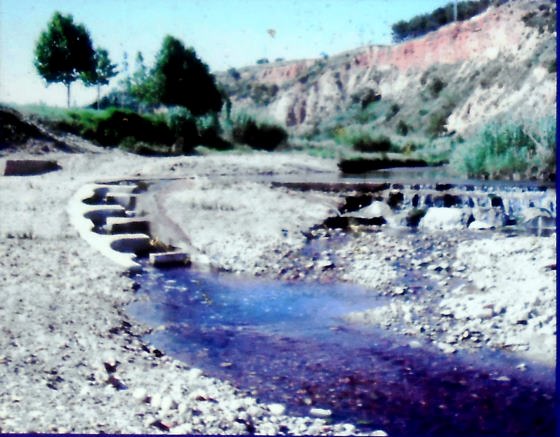 DSCN4089 - copia (2)_01