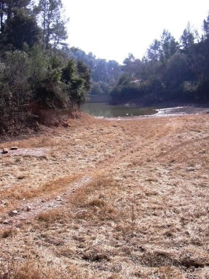 Entrada del Torrent al Pantá 1_01