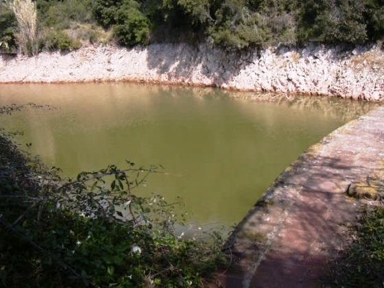 Estancament de l'aigua_01