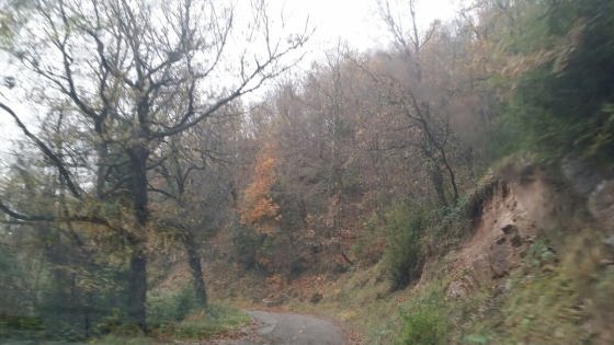 IMG-20141130-WA0000_01