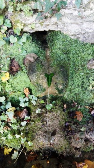 IMG-20151028-WA0000_01