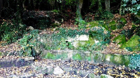 IMG-20151028-WA0001_01