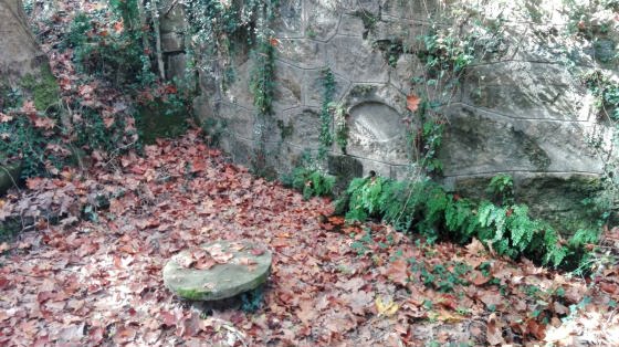 IMG-20151028-WA0007_01