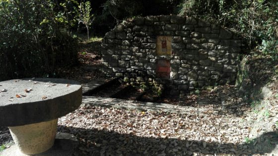 IMG-20151116-WA0004_01