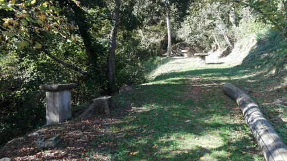 IMG-20151116-WA0005_01