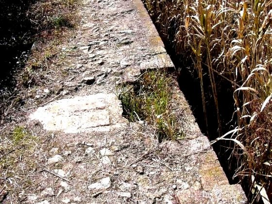 Punt sortida de l'aigua de la Bassa_01