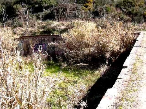 Vista de la Bassa des de un angle_01